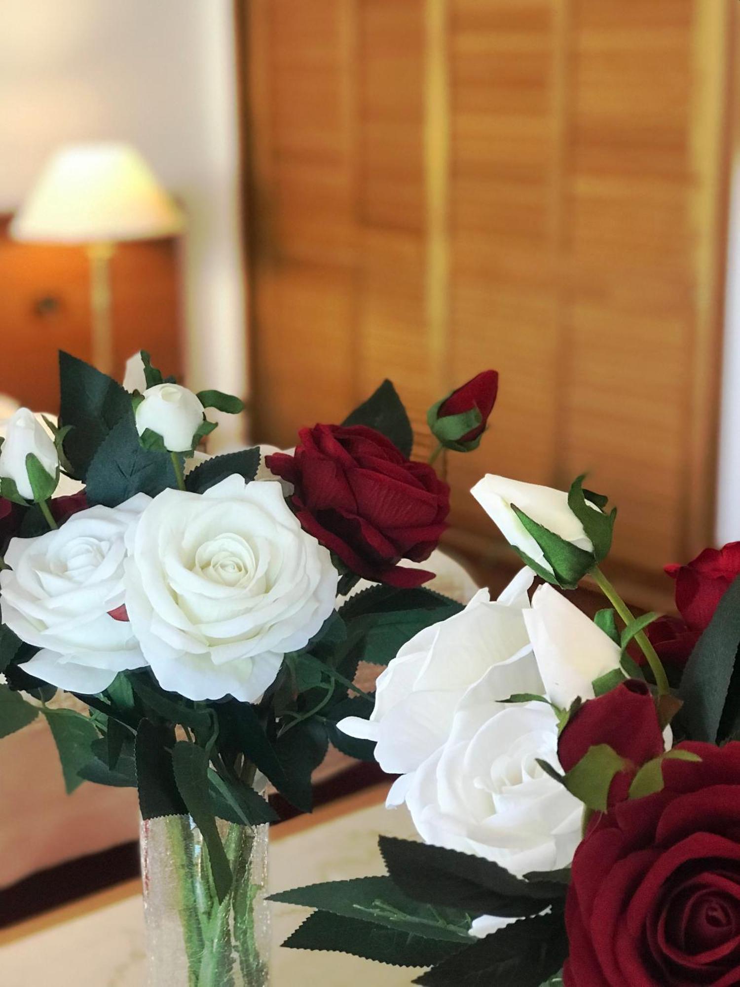Chateau Linza Resort Тирана Екстериор снимка