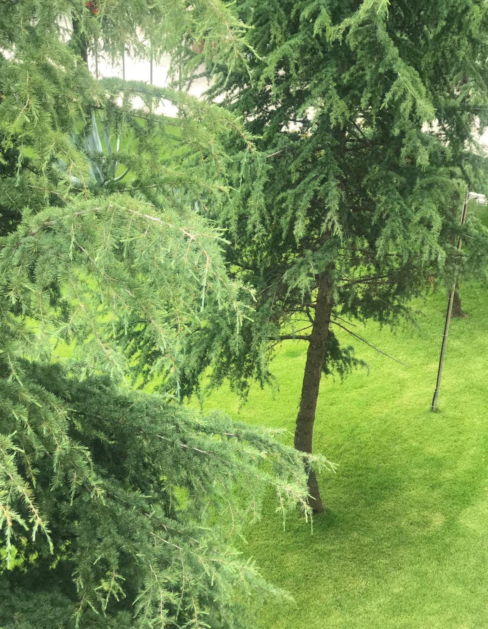Chateau Linza Resort Тирана Екстериор снимка