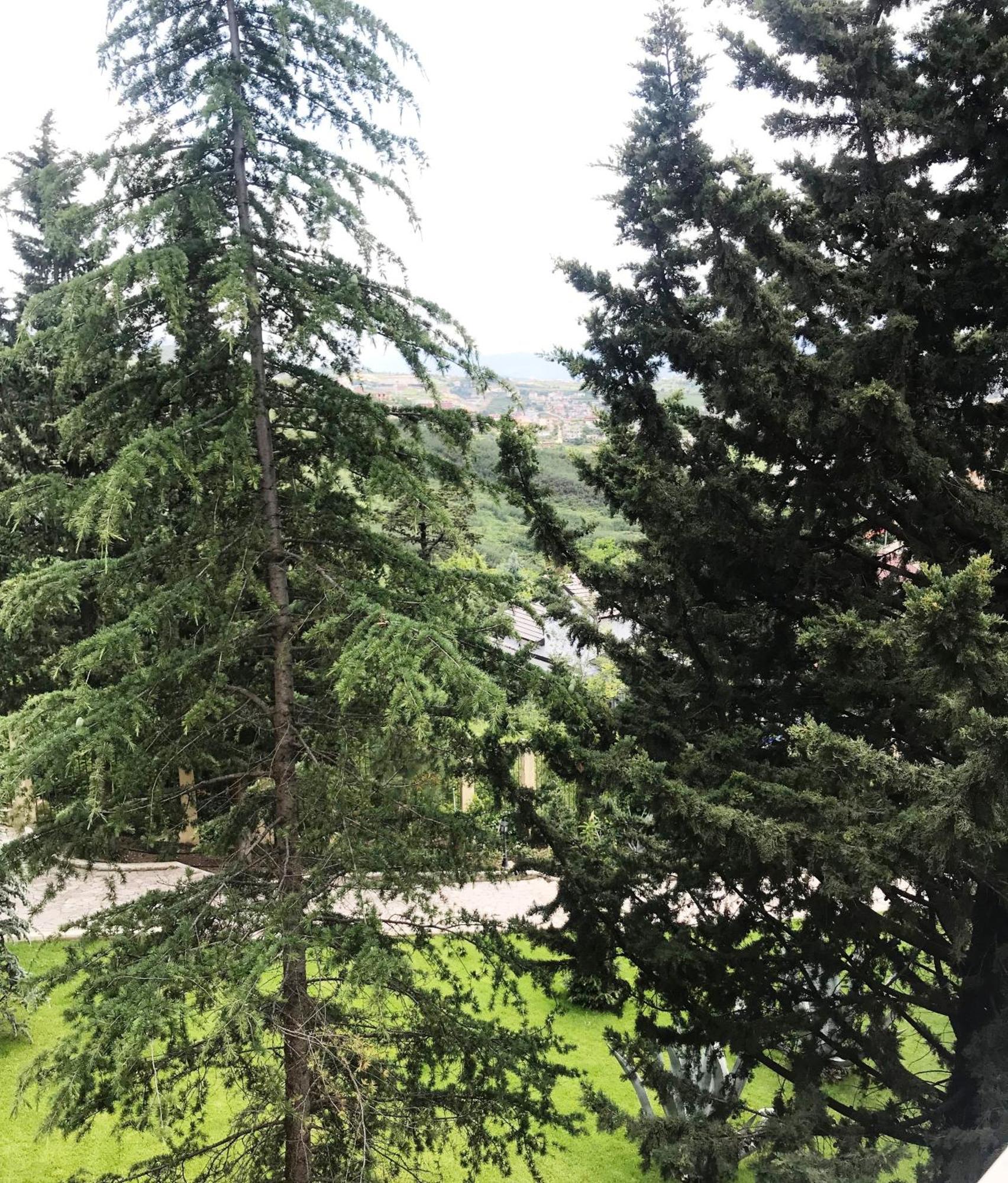 Chateau Linza Resort Тирана Екстериор снимка